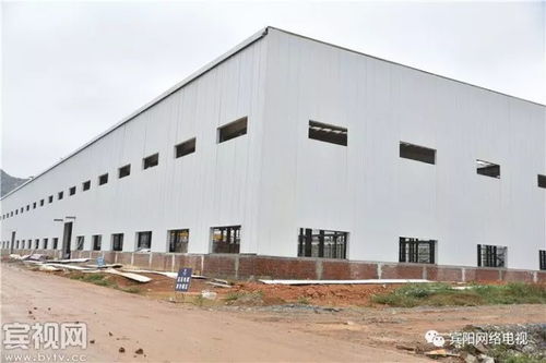 震憾 南宁黎塘玻璃厂现场招聘会,大排长龙...