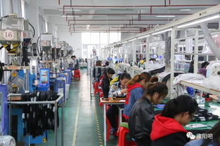 服 一条招工信息,竟牵出了几百个宾阳人的新 致富 之路