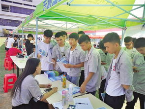 就业精准帮扶 积极服务青年