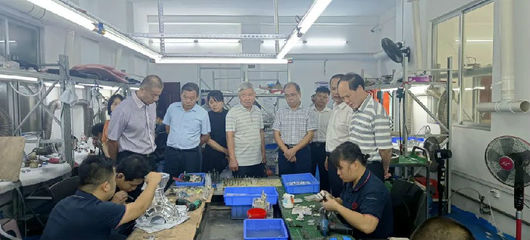 刘志烈率队到隆安县开展稳就业保就业工作专题调研