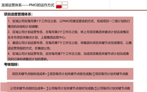 高效 龙湖 pmo 项目管理部 体系研究