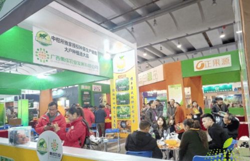 志说 南宁市会展业综述