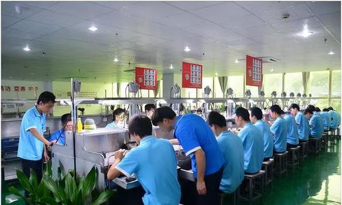 从月薪8000到年收入50万 我的职场跃迁之路与南宁招工现状观察